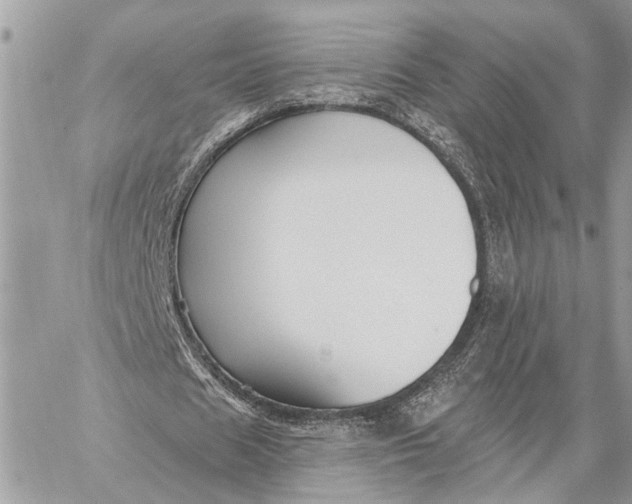 X0000059060625200510281633