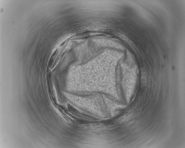 X0000059060626200510281633