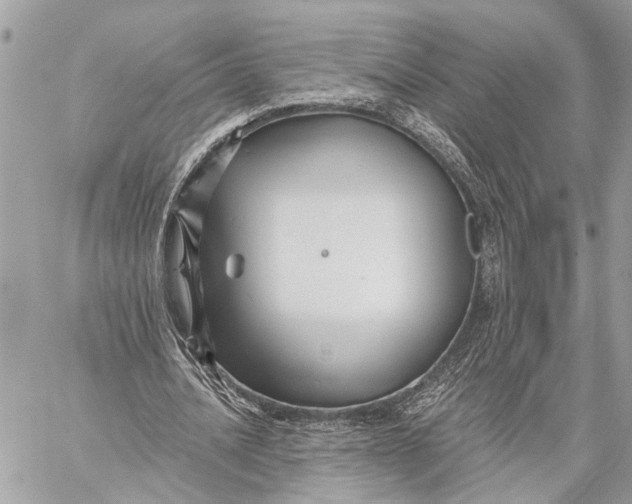 X0000059060628200510281633