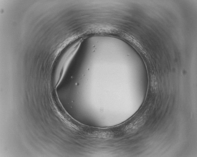 X0000059060629200510281633