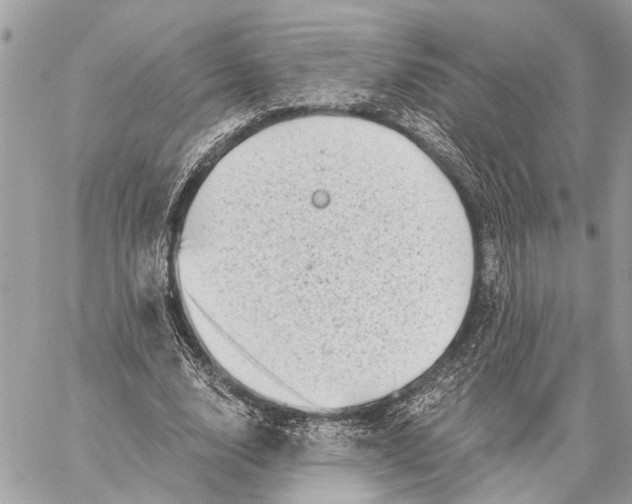 X0000059060632200510281633