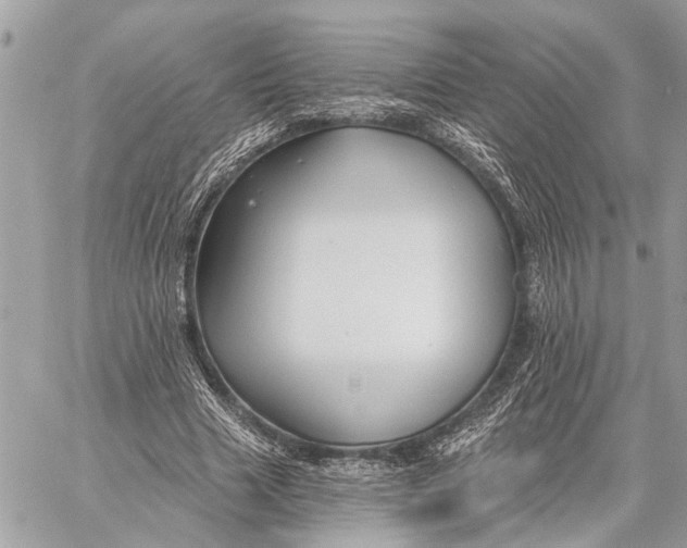 X0000059060633200510281633