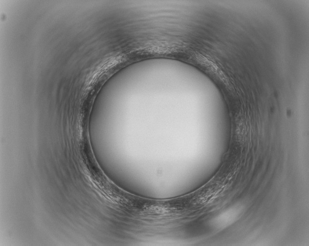 X0000059060635200510281633