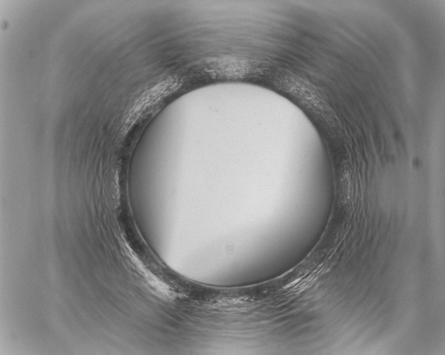 X0000059060638200510281633