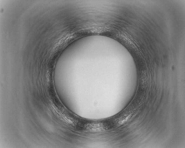 X0000059060639200510281633