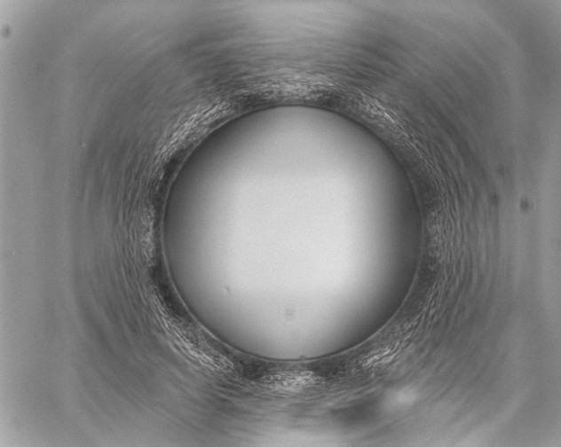 X0000059060642200510281633