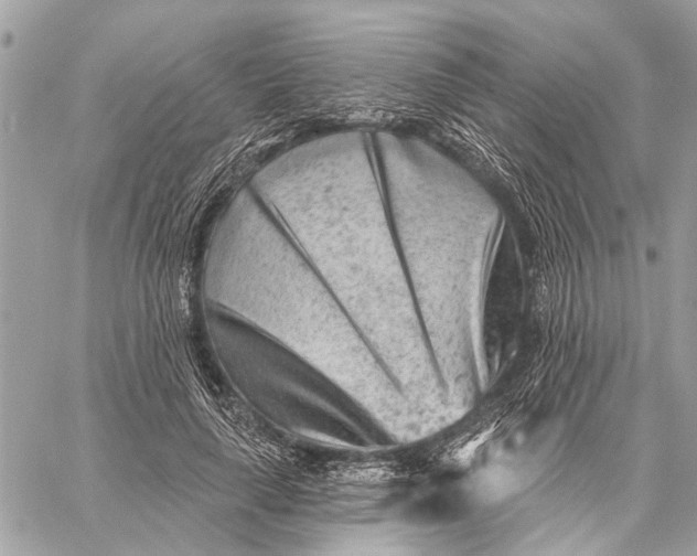 X0000059060643200510281633