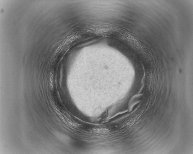 X0000059060644200510281633