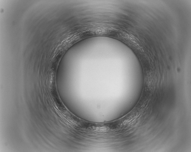 X0000059060645200510281633