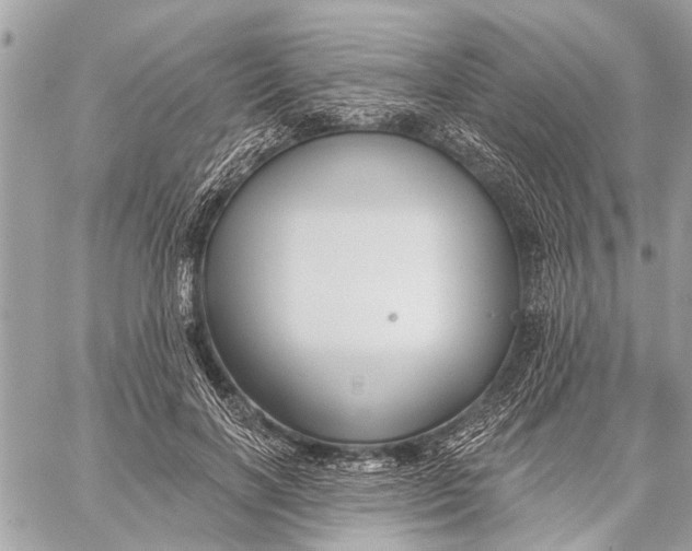 X0000059060646200510281633