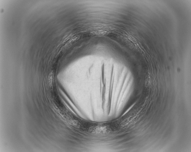 X0000059060647200510281634