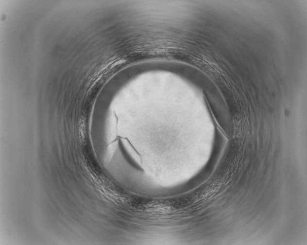 X0000059060648200510281634