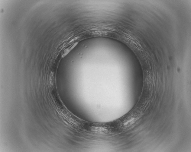 X0000059060649200510281634