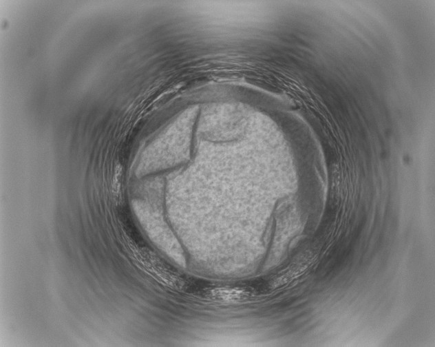 X0000059060650200510281634