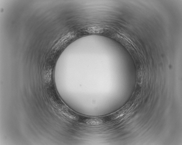 X0000059060652200510281634