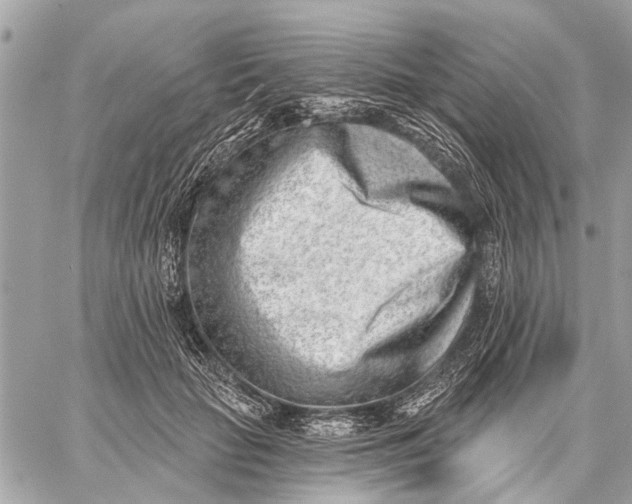 X0000059060653200510281634