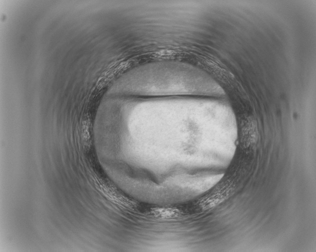 X0000059060654200510281634