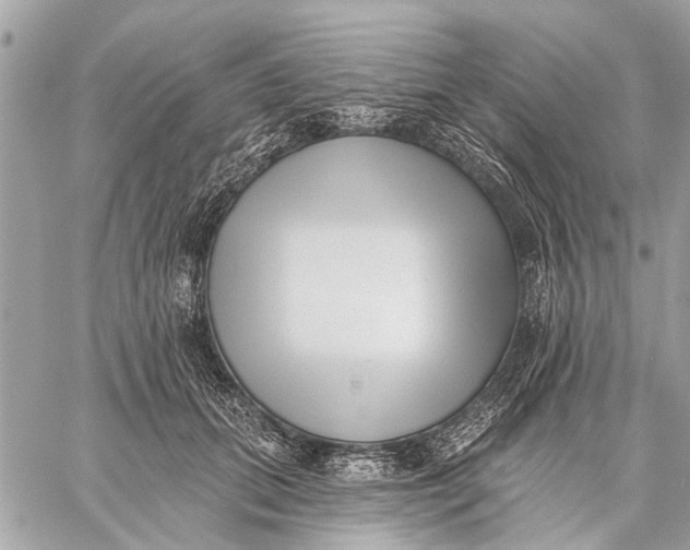 X0000059060655200510281634