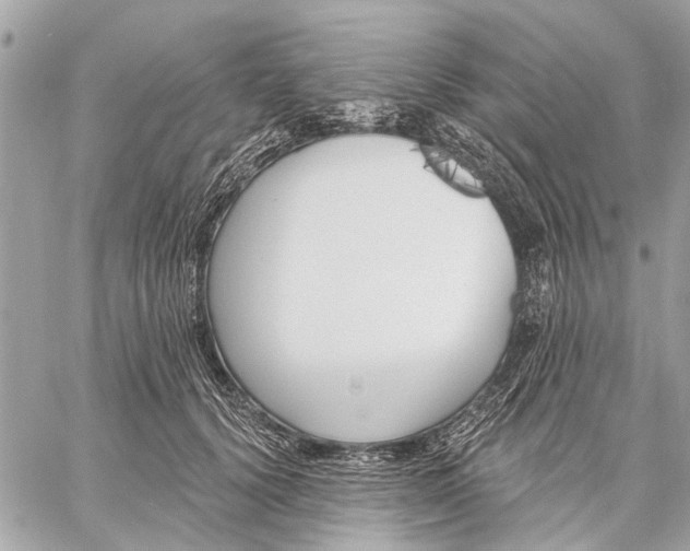 X0000059060656200510281634