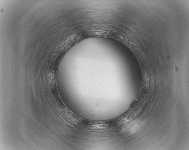 X0000059060657200510281634