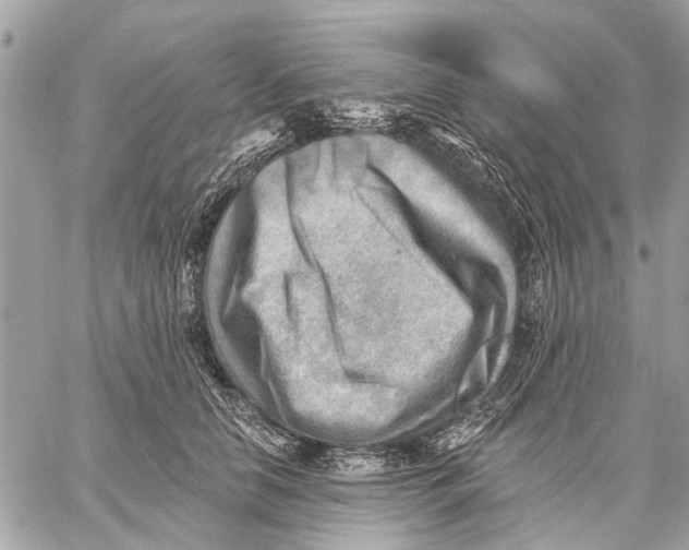 X0000059060658200510281634