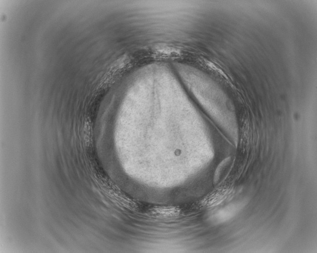 X0000059060659200510281634