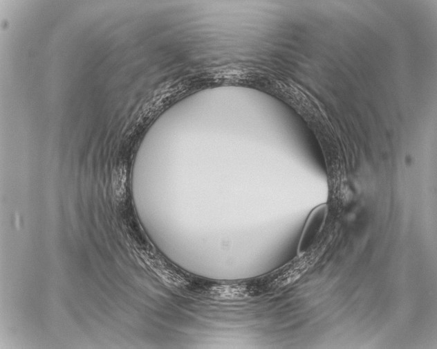 X0000059060660200510281634