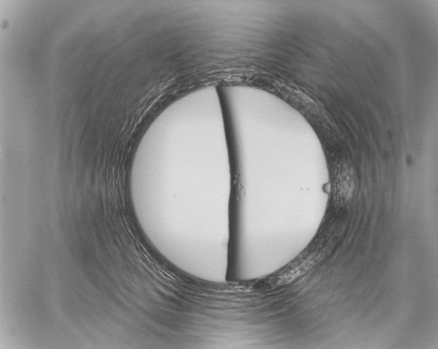 X0000059060661200510281634