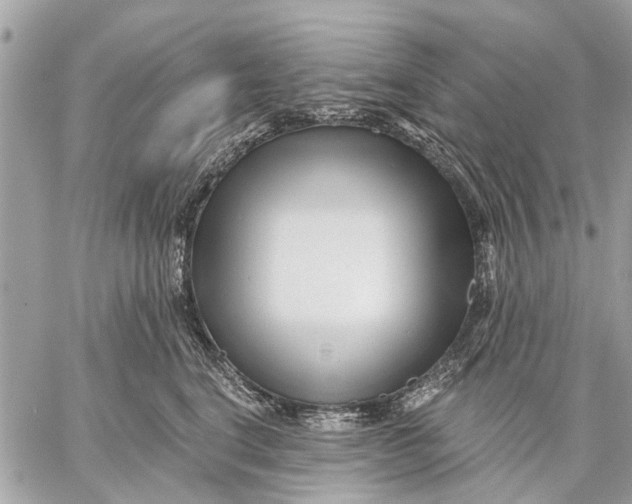 X0000059060664200510281634