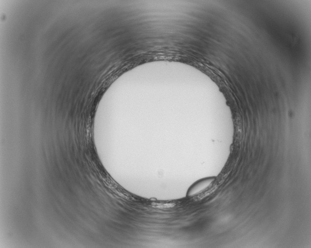 X0000059060665200510281634