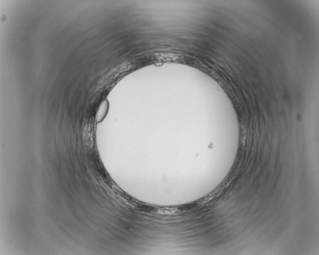 X0000059060666200510281634