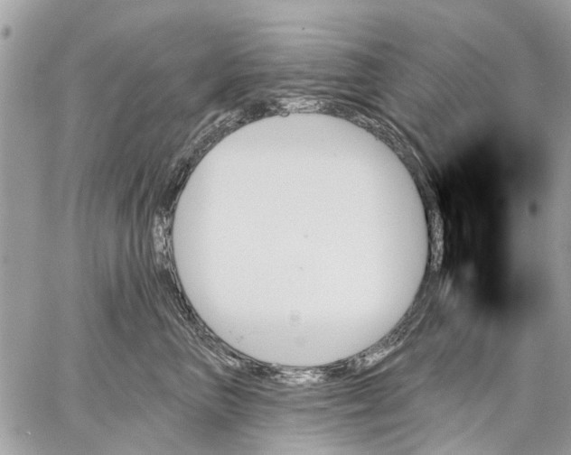 X0000059060667200510281634