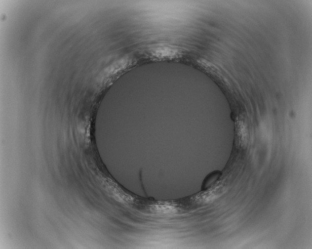 X0000059060668200510281634