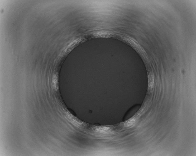 X0000059060669200510281634