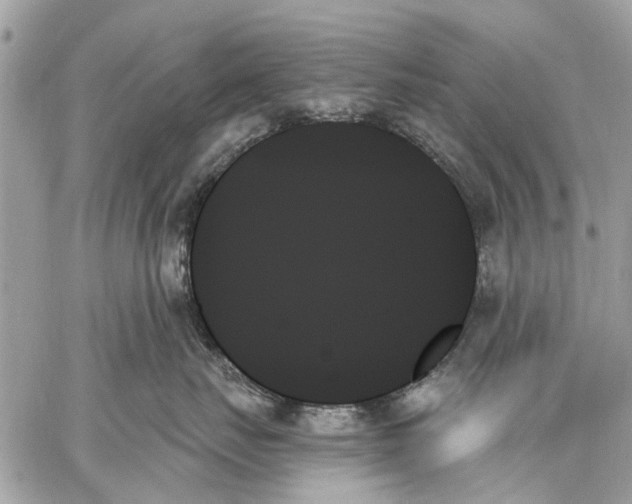 X0000059060671200510281634