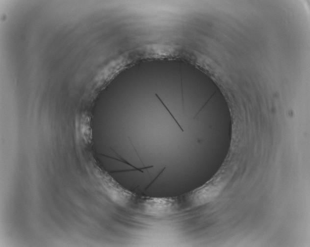 X0000059060672200510281634