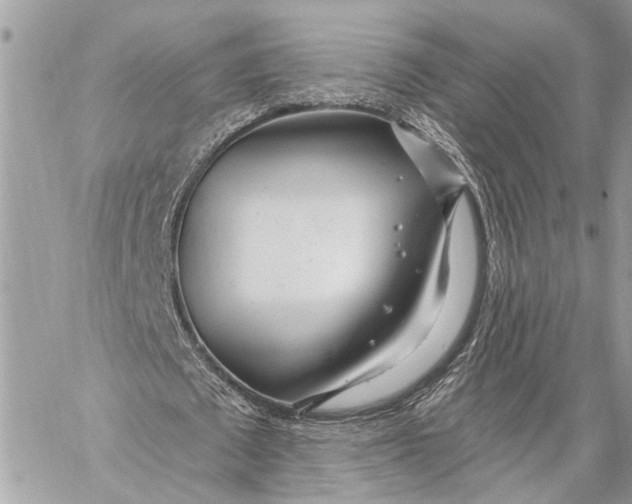 X0000059060673200510281633