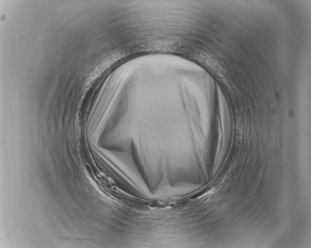 X0000059060674200510281633