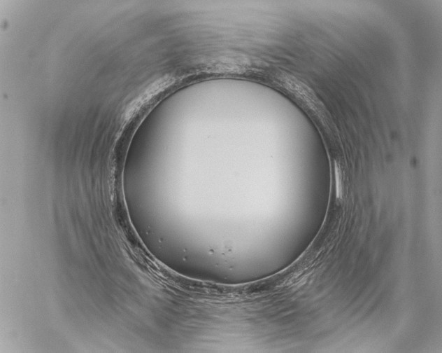 X0000059060675200510281633