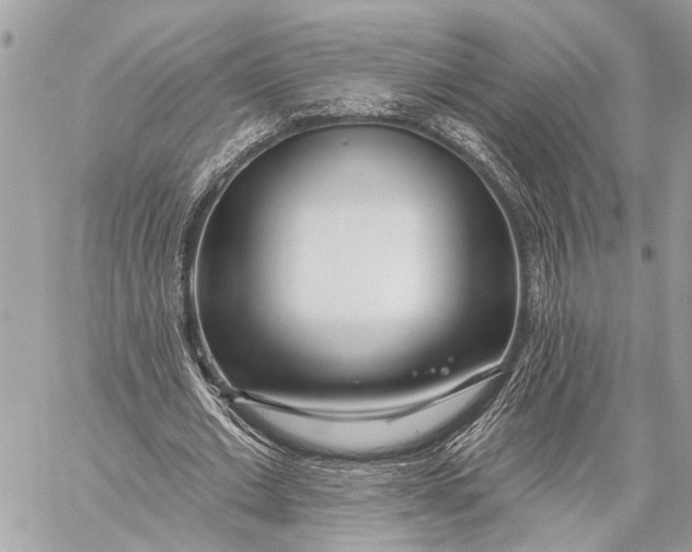 X0000059060677200510281633