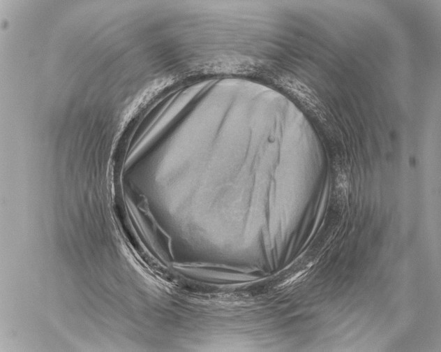 X0000059060678200510281633