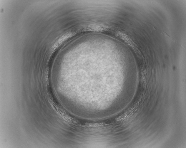 X0000059060679200510281633