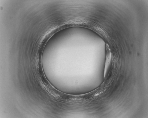 X0000059060680200510281633