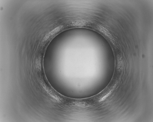 X0000059060681200510281633