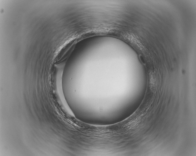 X0000059060684200510281633