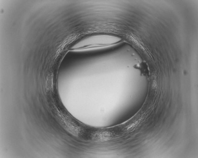 X0000059060685200510281633