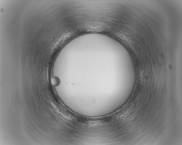 X0000059060686200510281633