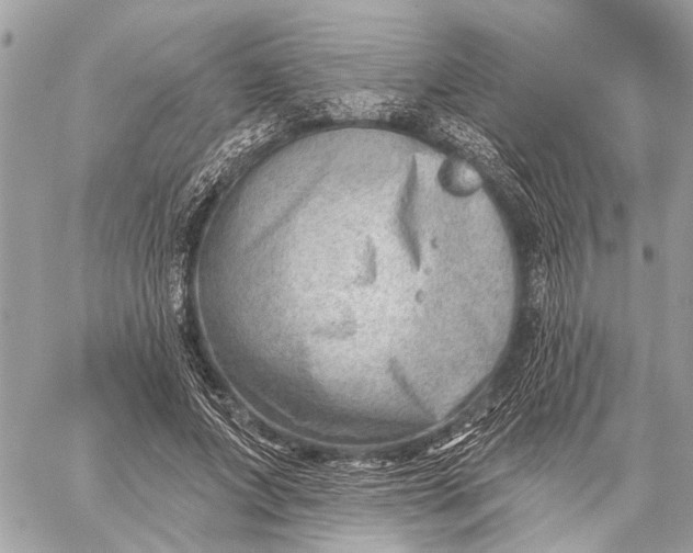 X0000059060687200510281633