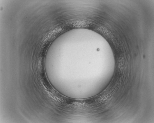 X0000059060690200510281633