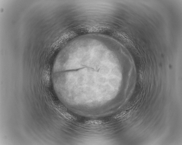 X0000059060691200510281633